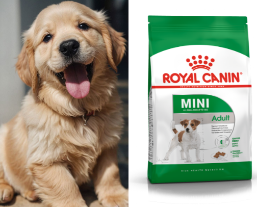 ✨ Furmom Approved: Pet Picks I Love cover photo collage