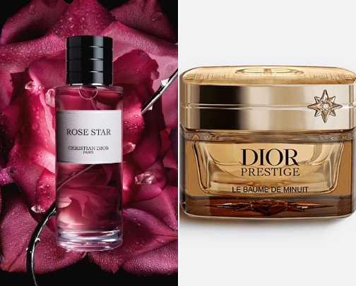 My favorite beauty recs cover photo collage