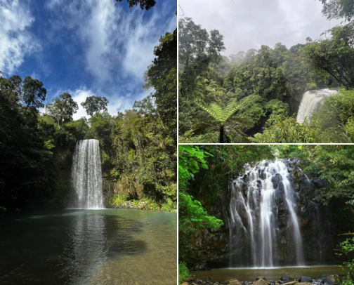 I Drove the Atherton Tablelands Waterfall Circuit and Packed These cover photo collage