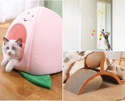 Must-Have for Cats cover photo collage