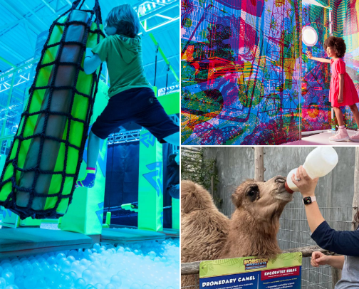 Houston Mom’s Weekend Activity List cover photo collage