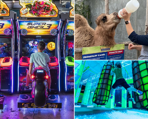 Kid friendly things to do in Houston cover photo collage
