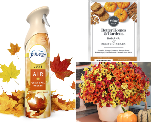 Fall essentials 🍂🍂 cover photo collage