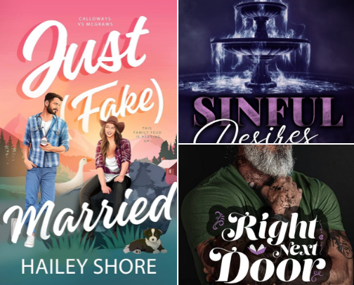 EBOOK RECS! cover photo collage