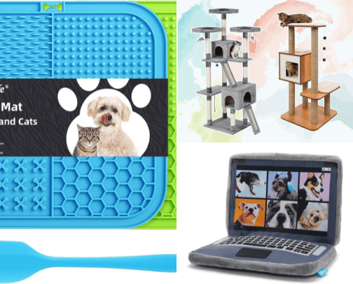 Essentials & Fun for your furry friends cover photo collage