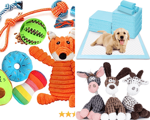 Everything for your pets cover photo collage
