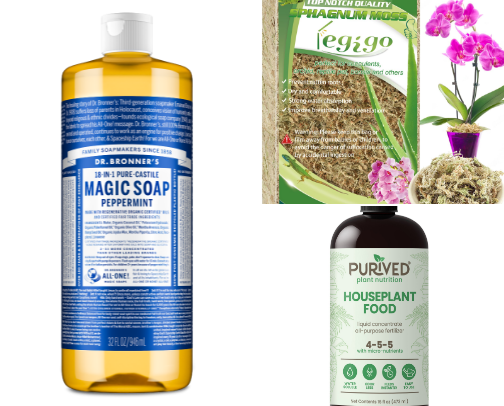 All my fave plant supplies cover photo collage