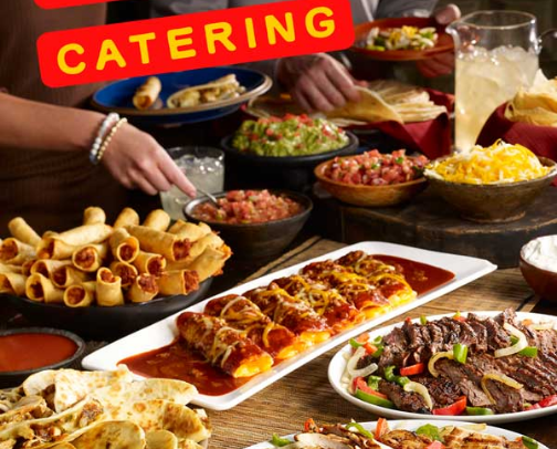 My top Louisville recs cover photo collage