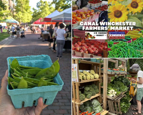 Columbus, Ohio Farmers Markets cover photo collage