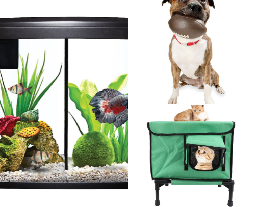 🐶🐱🐰🐠🦜Pet Positive📈 cover photo collage