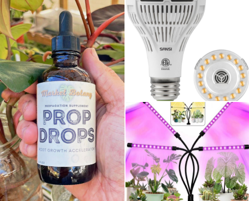 Plant Essentials That Are Game Changers cover photo collage