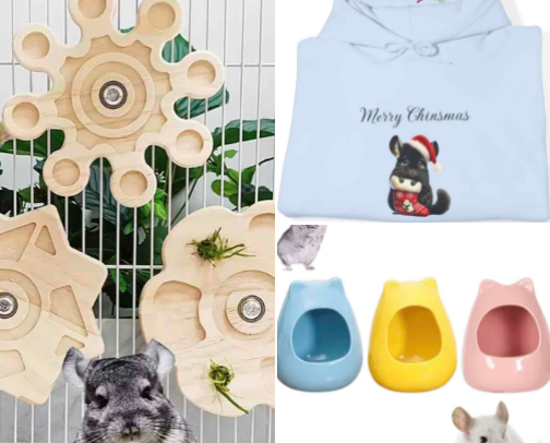 Chinchilla gift & care shop 🎁 cover photo collage