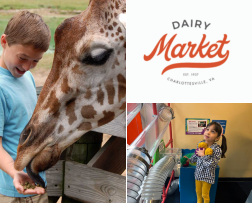 Charlottesville Infant/Toddler Outings cover photo collage