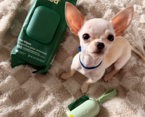 Teacup Puppy Grooming Essentials cover photo collage