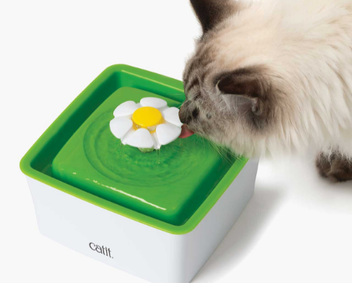 The Small Apartment Cat Setup cover photo collage