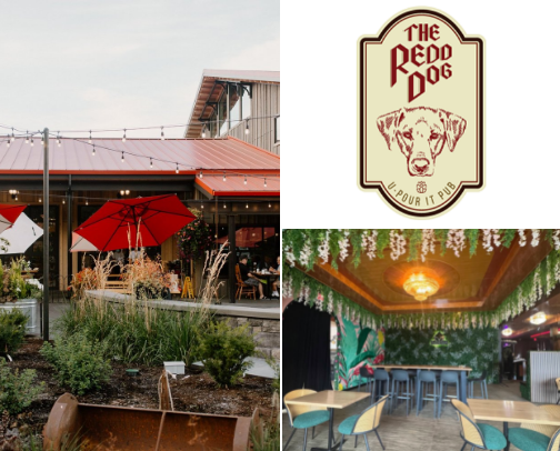 Fun things to do near Puyallup, WA (for everyone!) cover photo collage