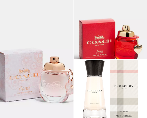 Ladies perfume that you will love cover photo collage