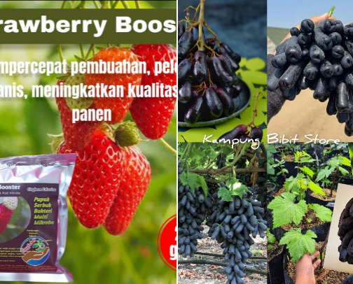 Kebutuhan Tanaman cover photo collage