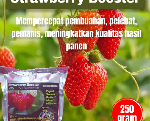 Kebutuhan Tanaman cover photo collage