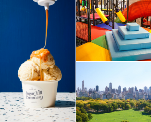 Family-friendly Fun in NYC cover photo collage