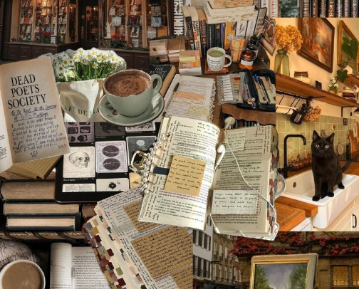 Books with fearless and favorite FMCs cover photo collage