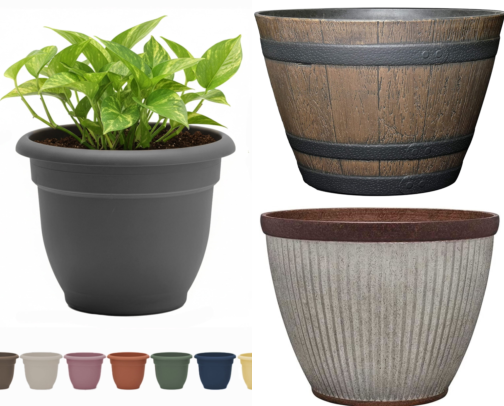 Container Gardening Finds That Saved My Sad, Empty Patio cover photo collage