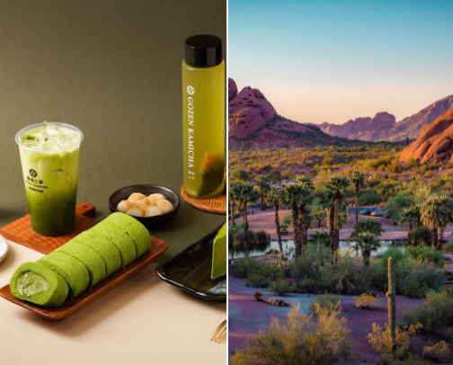 Places I recommend in AZ cover photo collage