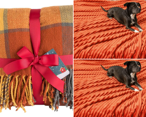 Pumpkin to Talk About (Fall Finds) cover photo collage