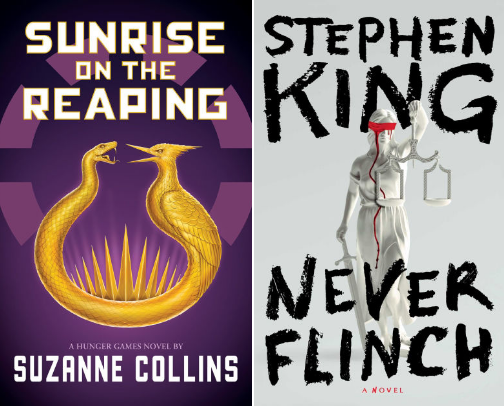 Hunger Games cover photo collage