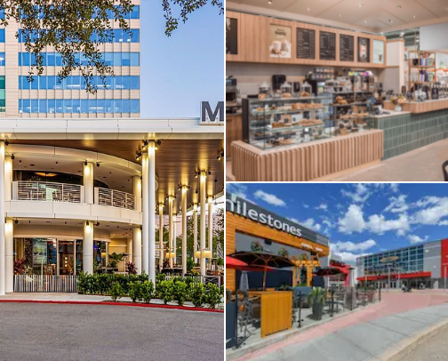 My top Calgary recs cover photo collage