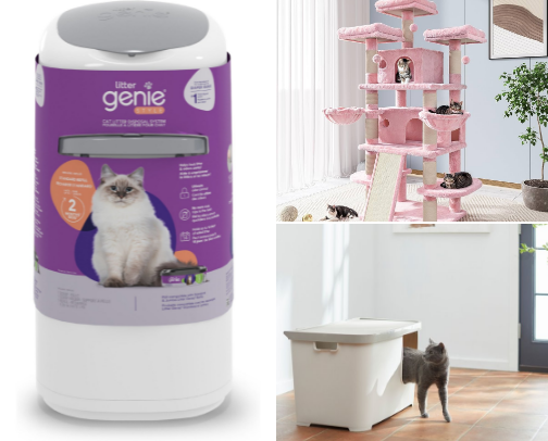 Items To Have As A New Cat Parent cover photo collage