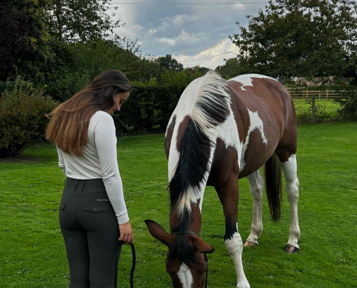 equestrian favorites cover photo collage
