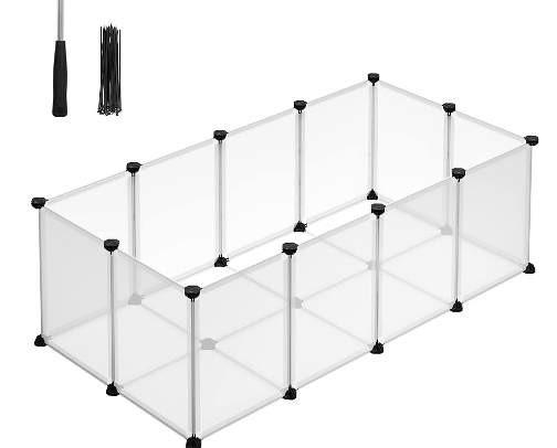 Perfect Kitten Setup 😸 cover photo collage