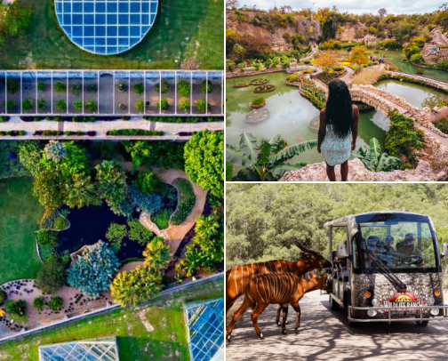 San Antonio Bucket List: Exciting activities, and memorable adventures for everyone! cover photo collage