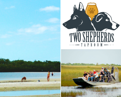 Your Guide to Dog-Friendly Florida Getaways cover photo collage