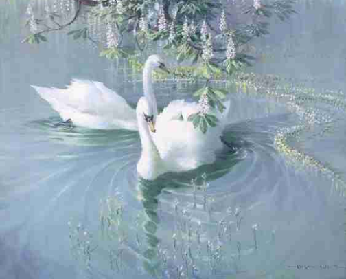 Things I would wrestle someone over if it was the last one in stock. cover photo collage