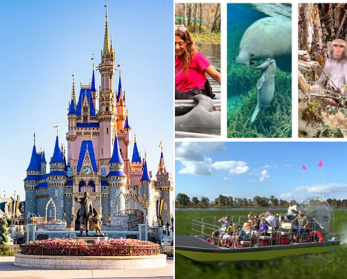 Make the most of your Spring Break in Orlando cover photo collage