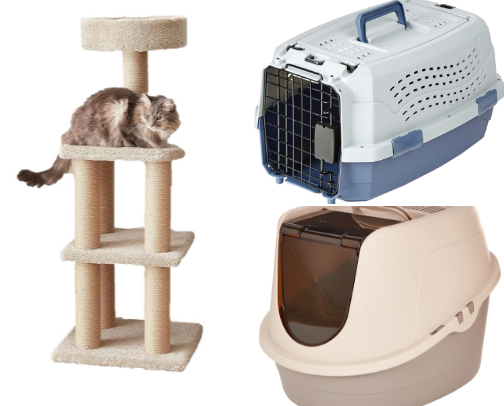 Crazy Cat Mom Starter Kit — All the Essentials in One Place cover photo collage