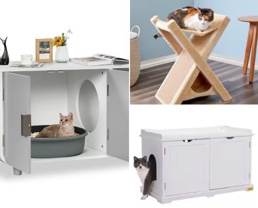 Cat Room cover photo collage