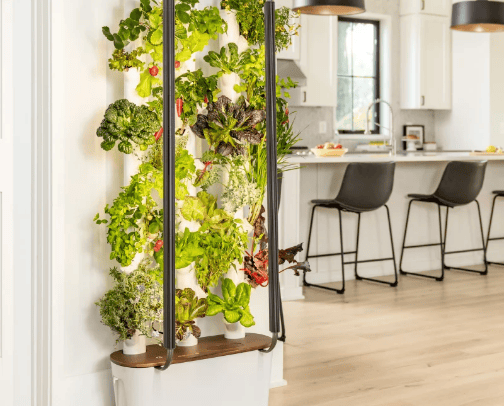 Healthy Eating cover photo collage