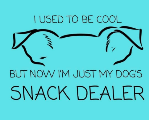 🐾 Products Your Pet WANTS You To Buy and Pet Parents NEED to buy! cover photo collage