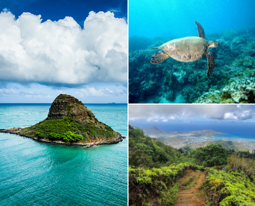 20 Things to Do in Kāne‘ohe This Spring and Summer cover photo collage