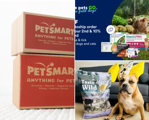 Everything Dogs cover photo collage