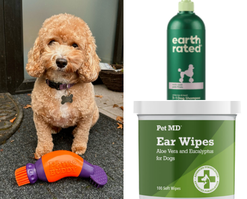 Must haves for your pups cover photo collage