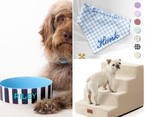 Puppy necessities 🐩👼🏻💕 cover photo collage