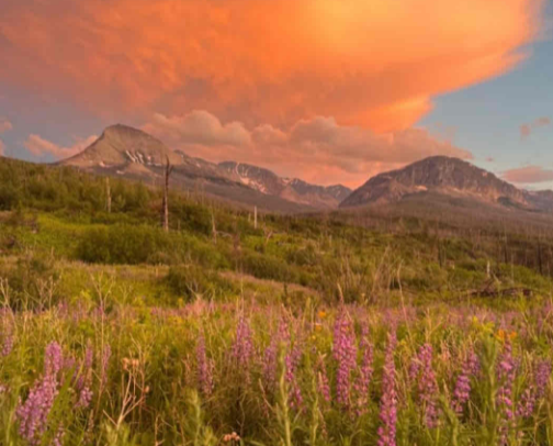 must do in montana⛰️ cover photo collage