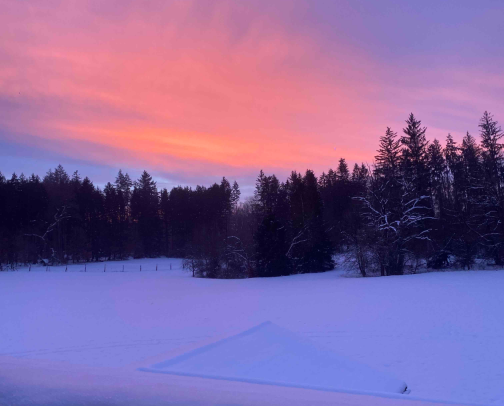 Travel for Free cover photo collage