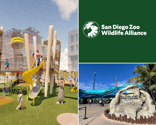 My top San Diego recs cover photo collage