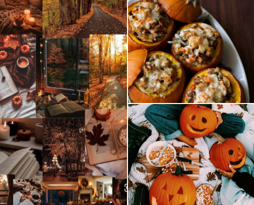 Fall in Love: Cozy Vibes, Autumn Adventures & Seasonal Favorites 🍂. cover photo collage