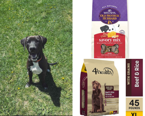 Dog supplies my dog loves cover photo collage